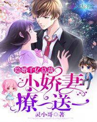 隐婚密爱总裁甜蜜宠妻