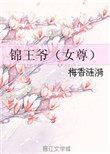 女主角锦儿男主是王爷