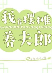 我靠摆地摊买下一坐岛