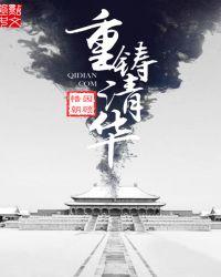 重铸清华TXT免费