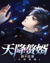 天降赘婿1-100集全免费