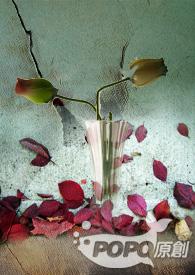 暴雨游戏攻略