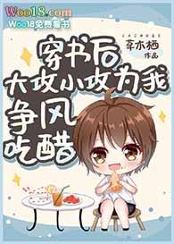 穿书后大攻小攻为我争风吃醋txt百度
