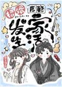 招婿的女人