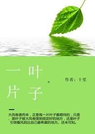 作者一片叶子的