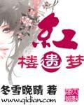 红楼遗迷在线阅读