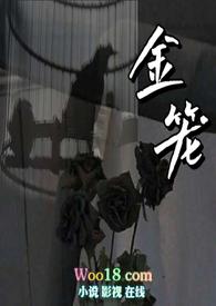 金笼np清宜免费阅读