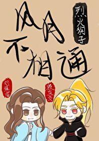 风月不相关怎么样