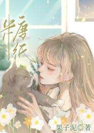 糖纸蚂蚁庄园