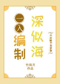 什么叫入编