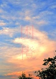 困城蔺观川许枫结尾