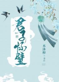 君子怀璧by木沐梓讲的什么