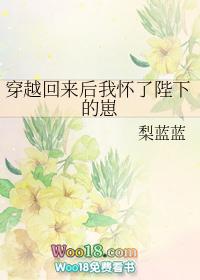 穿越回来后我怀了陛下的崽by梨蓝