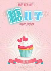 糖二代(娱乐圈) 百度