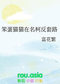 看笨蛋猫咪表情