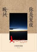 你是夏夜晚风晋江