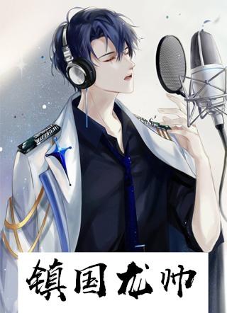 镇国龙帅叶辰林婉