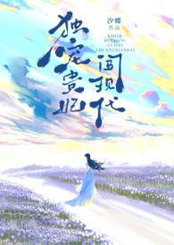 独宠穿越王妃免费阅读