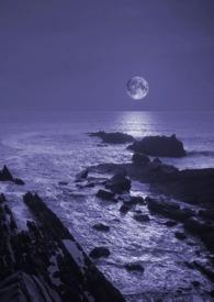 作者暗夜的