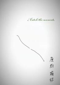 原则崩坏免费阅读