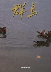 群鸟飞来打三个数字