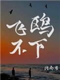 飞鸥不下实体书