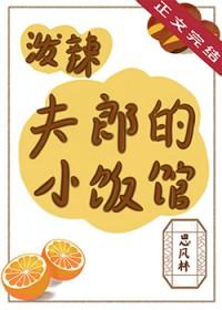 泼辣娘子全文免费阅读