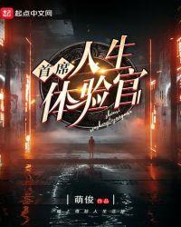 首席体验官证书