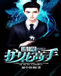 透视高手免费全文阅读全文