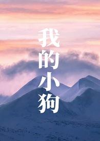我的小的小狗