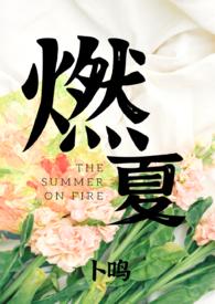 燃全文免费阅读