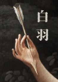 白羽是哪个