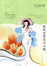 人物陆先生