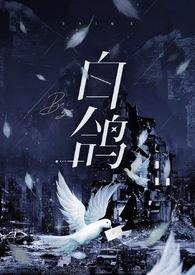 白鸽by密秋