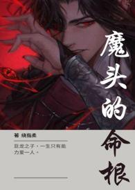 魔头的命根 (H 1v1 双C)作者绕指柔