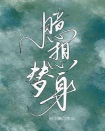 臆想替身何小懒