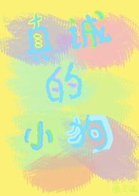 诚实的小狗教案