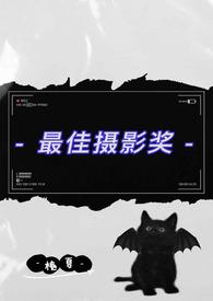 年度最佳摄影奖