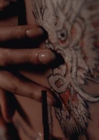 缠绵此情免费阅读