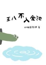 王八不留的功效