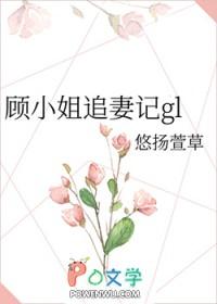 顾小姐追妻记晋江