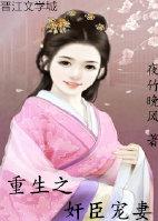 重生之奸臣之妻