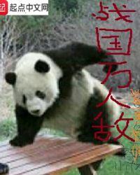 战国万人敌怎么样