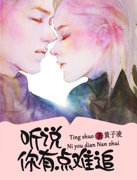 歌词听说你有点难追