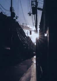 你是我的曙光全文