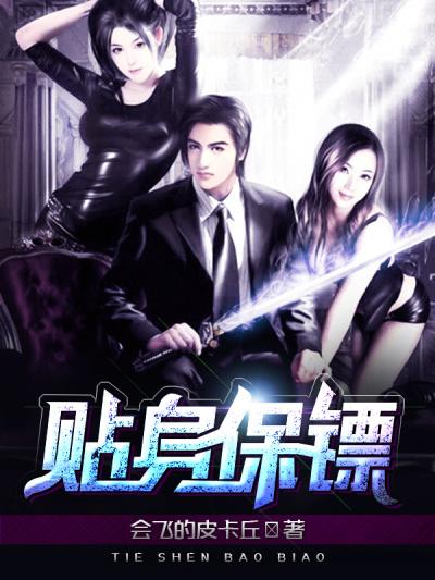 贴身保镖 电视剧