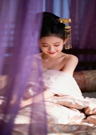 满朝文武皆为帐中客