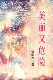 美丽又危险英文翻译