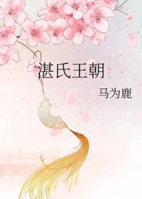 湛氏王朝免费阅读