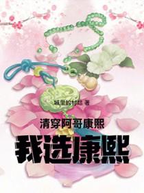 清穿康熙和阿哥都爱女主